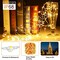 12 Pack Fairy Lights Battery Operated, 3 Speed Modes, Extra 12 Batteries for Replacement, 7Ft 20 LED Mini String Lights, Waterproof Copper Wire, Twinkle Firefly Lights for Christmas Decorations